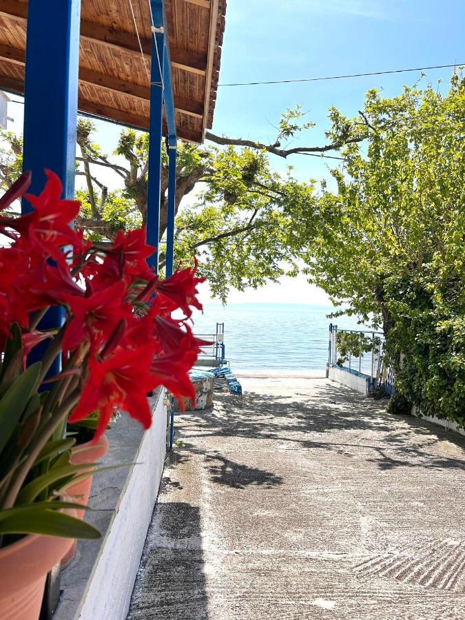 Hotel Αγκυροβόλιο Ília Zewnętrze zdjęcie